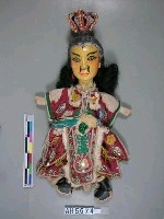 藏品(生(植髮))的圖片